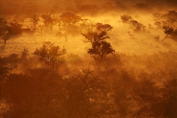 Kalahari Desert - South Africa