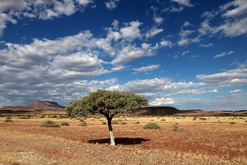 Damaraland - Namib