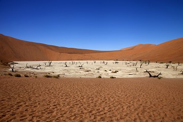 Deadvlei - Namib